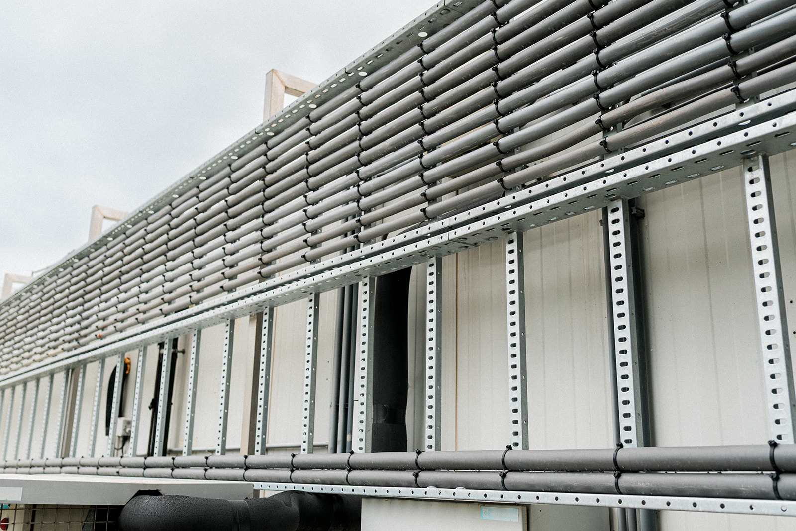 ©Anneke Veronica Photography